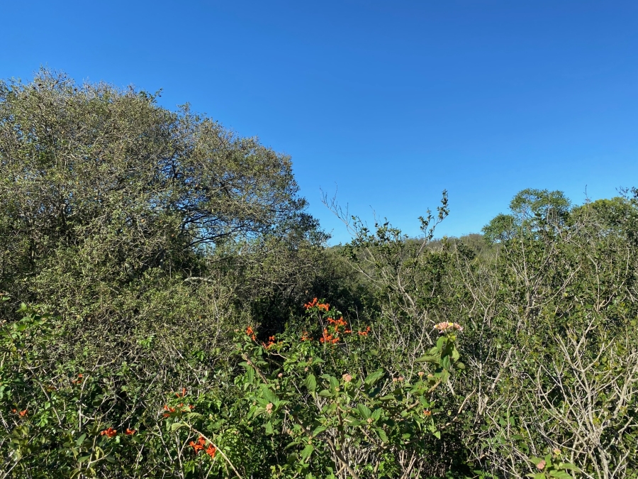 0 Bedroom Property for Sale in Bathurst Eastern Cape